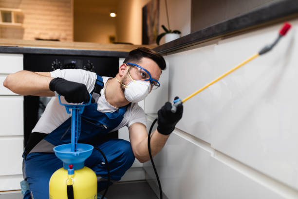 Best Flea Control Services  in Gas City, IN