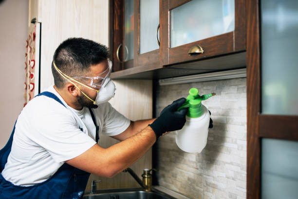 Wildlife Control Services in Gas City, IN