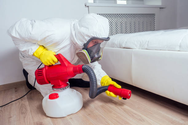 Best Local Pest Control Services  in Gas City, IN