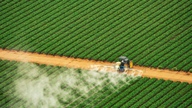 Best Pest Removal Services  in Gas City, IN