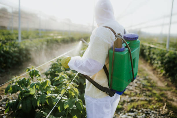 Best Bed Bug Extermination  in Gas City, IN